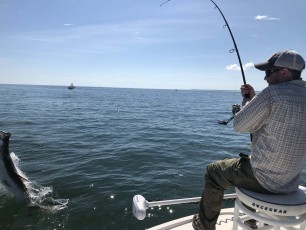 3ezDtk5QTgiunHsZsAjvsg