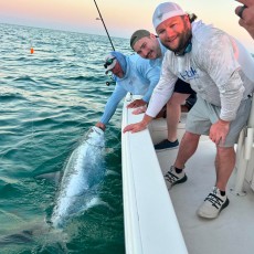 455DE902-1F78-40CD-AEDB-52D01E5DEE26