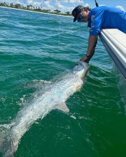 7D119C15-CD5E-4BDB-9E85-ADC341995ACD