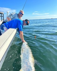 8CB02ED2-69D5-41C7-A46E-FB95F8029FB8