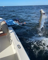 D42B41A7-2BB6-4DCD-99A3-140823FA75A5