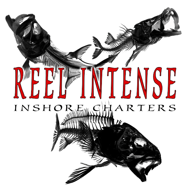 Awesome fishing trip with Reel Intense Charters