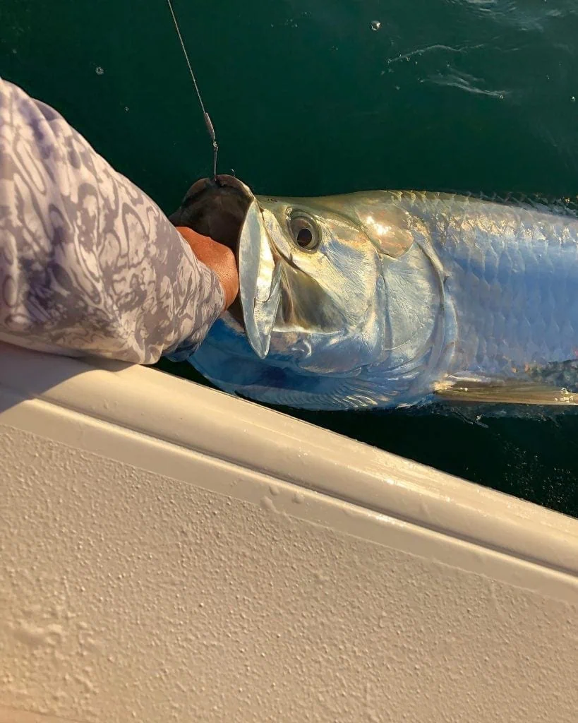 Boca Grande Fishing Charters